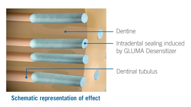 Schematic representation of effect